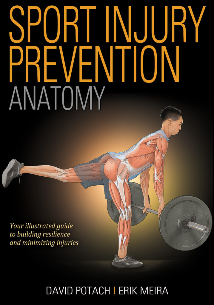 Sport Injury Prevention Anatomy
